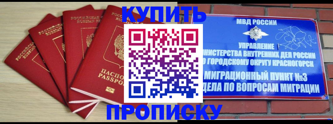 временная регистрация для всех в Долгопрудном